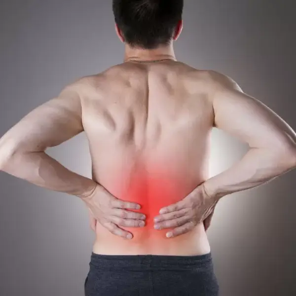 Adrenal (Böbrek Üstü Bezleri) Kisti Tedavisi Adrenal (Böbrek Üstü Bezleri) Kisti Tedavisi